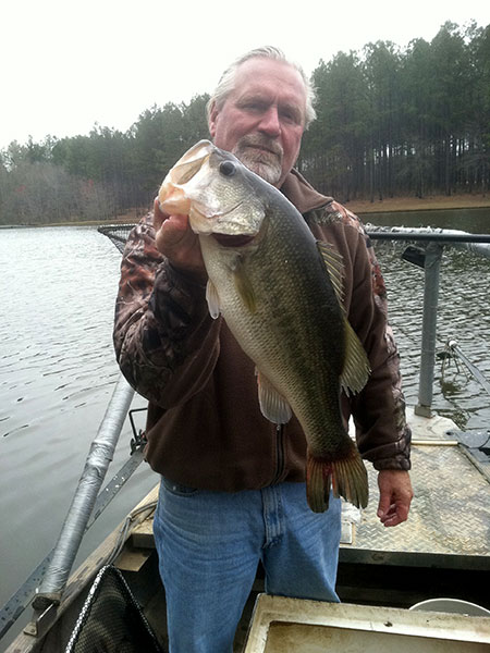 Largemouth Bass